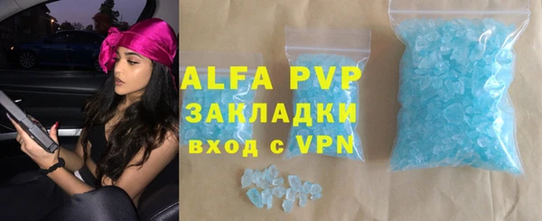 шишки Верея