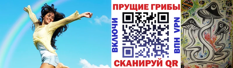 ссылка на мегу ссылка  Кемерово  Псилоцибиновые грибы мицелий 